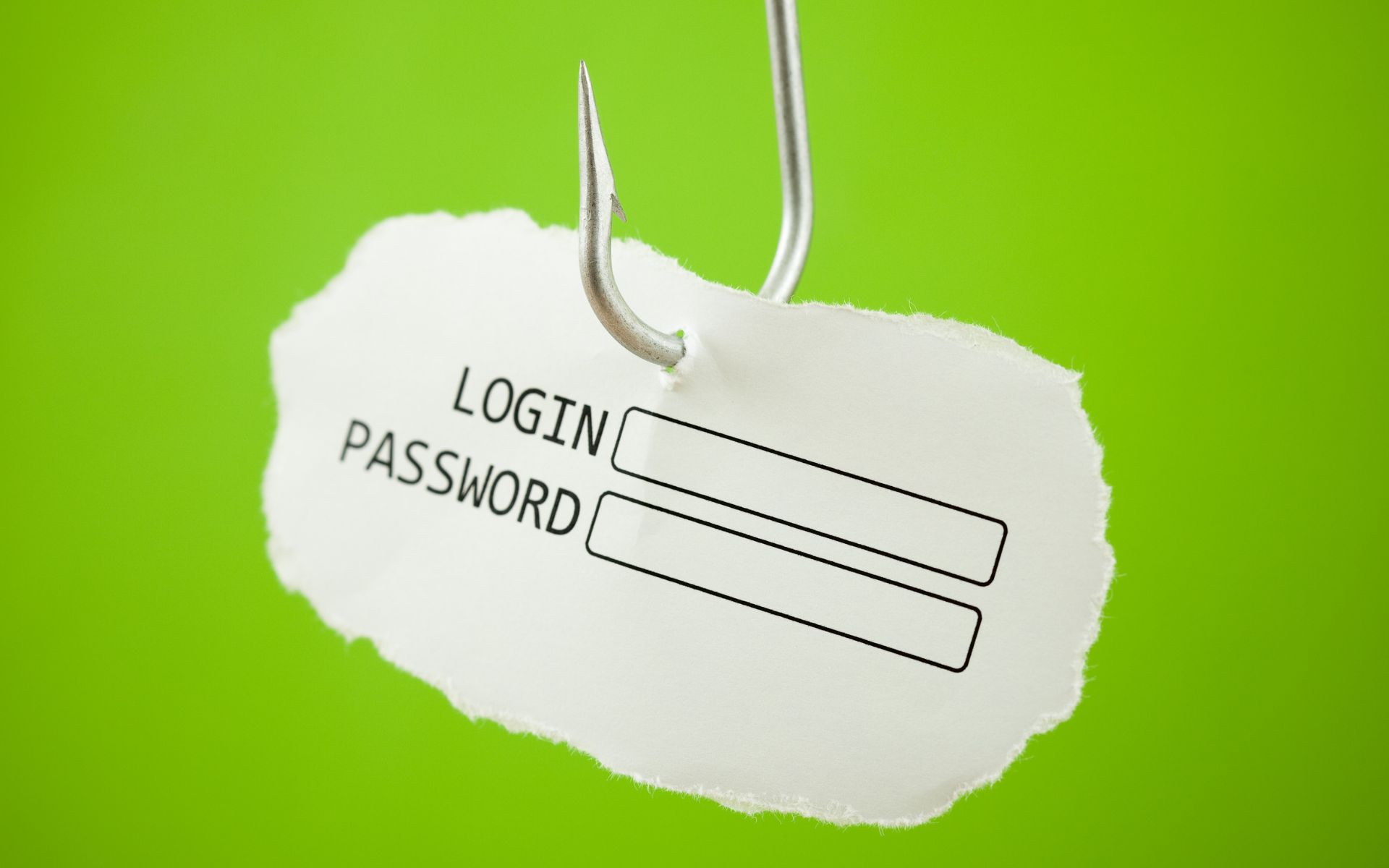 Qué es el phishing y cómo evitar caer en estafas en el mundo cripto